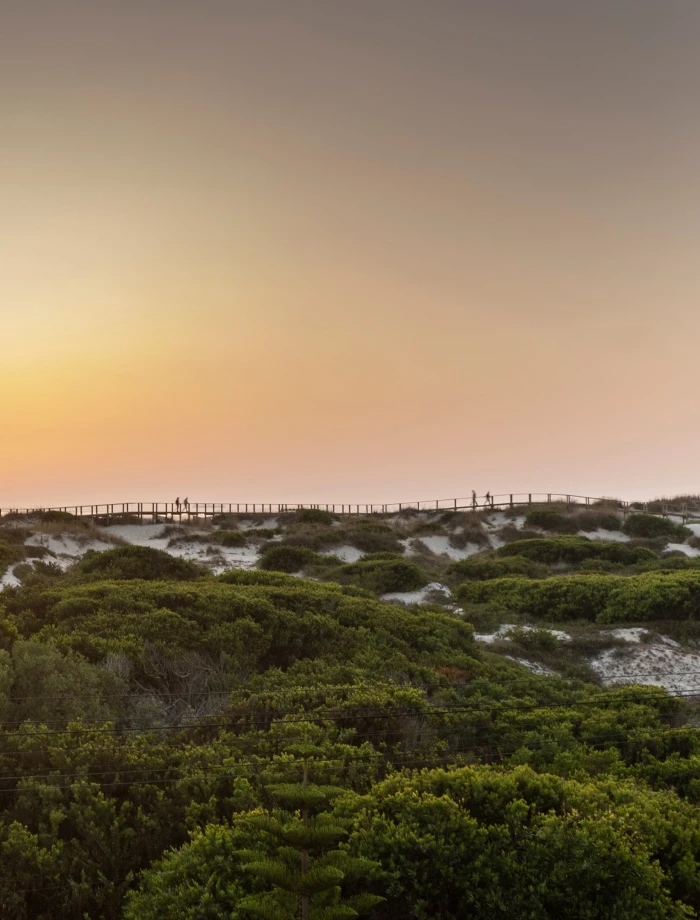 Holiday House on a coastline Right Image 17