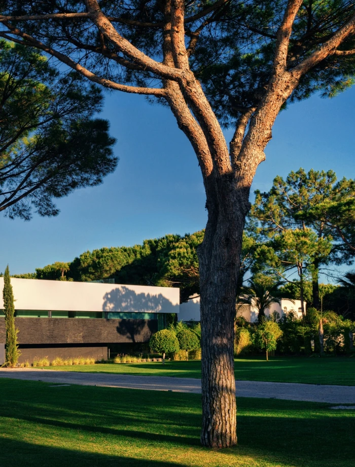 Holiday House over a Golf Course Right Image 1