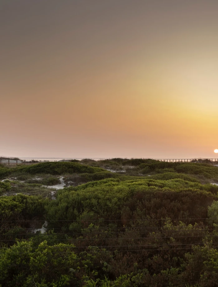 Holiday House on a coastline Left Image 17